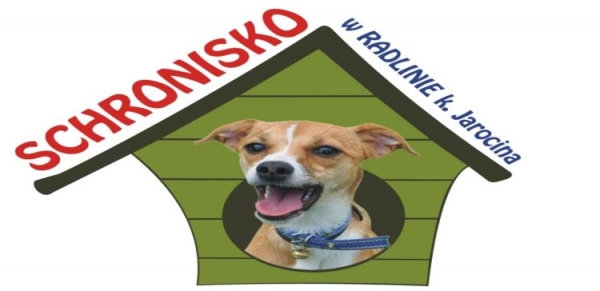 Wspieramy schronisko w Radlinie