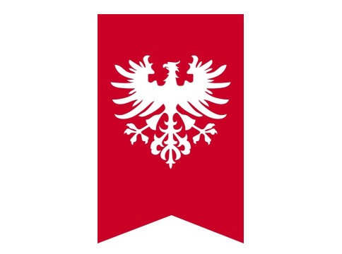 Zwycięstwo Powstania Wielkopolskiego