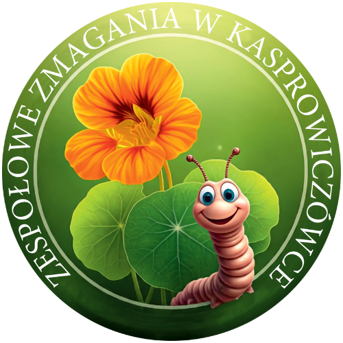 Zgłoszenia do konkursu Zespołowe Zmagania w Kasprowiczówce